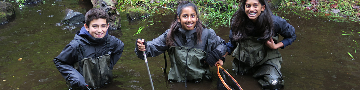 A group of three students engaged in stream study