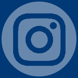 mentor college instagram icon
